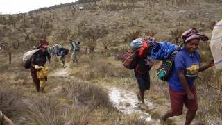 Seven Summits  Carstensz Pyramid 2015 [upl. by Krefetz]