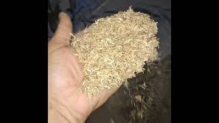 machine hi tech agro energy biomass pvtltd [upl. by Akemot141]