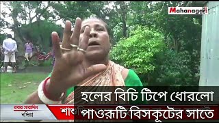 জামায়ের হলের বিচি টিপে ধোরলো পাওরূটি বিসকূটের সাতে Full video [upl. by Arsi125]