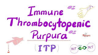 Immune Thrombocytopenia ITP — Most COMPREHENSIVE Explanation — Hematology [upl. by O'Rourke763]