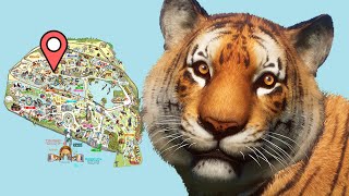 I Built a REAL LIFE Tiger Habitat in Planet Zoo but Took It Too Far [upl. by Lonni]