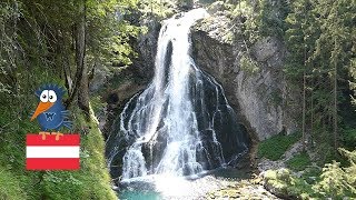 Gollinger Wasserfall  beliebtes Malermotiv und die Sage von der weissen Gams Salzburger Land [upl. by Hortensa305]