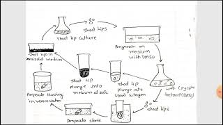 Germplasm conservation  in vitro germplasm conservation in Hindi M sc botany [upl. by Bethel506]