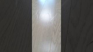 가전제품에눌려손상된 마루보수 마루수리 원목마루보수 마루미 woodfloor replacement replacing floorboard floor repair [upl. by Basia]