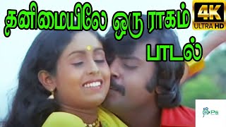 தனிமையிலே ஒரு ராகம் Thanimaiyile Oru RaagamSN Surender S Janaki Love Duet H D Song [upl. by Ahsieka942]