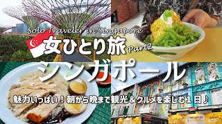 【女ひとり旅シンガポール②】魅力いっぱい🇸🇬朝から晩まで観光＆グルメを楽しみまくる１日！ガーデンズバイザベイマリーナベイサンズチャイナタウンナイトサファリ [upl. by Sacttler]