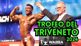 Trofeo del Triveneto 2024 WABBA INTERNATIONAL ITALIA [upl. by Adham629]