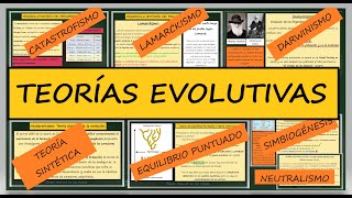 Teorías de la Evolución Lamarckismo Darwinismo Neodarwinismo Equilibrio Puntuado Simbiogénesis [upl. by Eiramassenav]