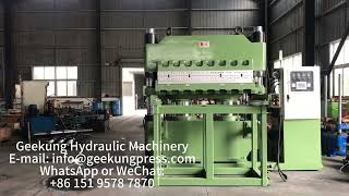 Hydraulic Vulcanizing Press Rubber Vulcanization Machine [upl. by Dahle735]