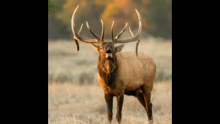 Grand Teton National Park Fall 2024 [upl. by Reid]