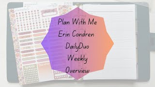 Plan With Me  Erin Condren Daily Duo  Weekly Overview [upl. by Anerol891]