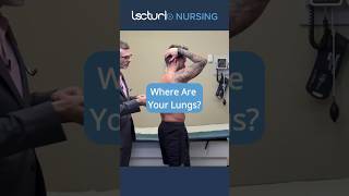 Understanding Lung Location for Auscultation 🫁 nclexrn nurseeducator [upl. by Pease]