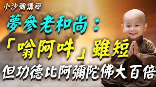 夢參老和尚：這3字神咒很短，但功德比念「阿彌陀佛」還要大10000倍！每天一念，能消除99種業障！小沙彌講禪 佛教 佛法 阿弥陀佛 南無阿彌陀佛 菩薩 佛學 佛陀 福報 [upl. by Colville50]