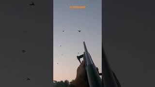 Duck 🦆 Hunting hunting shotgun youtubeshorts [upl. by Annaili843]