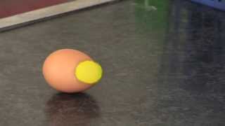 Egg Experiment to Demonstrate Inertia [upl. by Berky763]