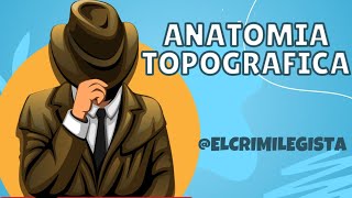 Anatomia topografica [upl. by Akiret695]