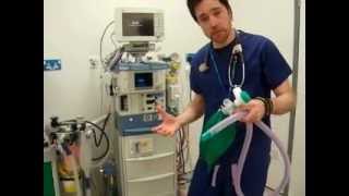 PRIMARY FRCA OSCE Bain Circuit Check wwwETTubecouk [upl. by Francisca]