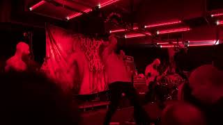 Pulverised Cranial Matter  Everywhere There Is Blood Live in Hobart  The Uni Bar 19102024 [upl. by Jojo]