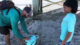 Flagler Beach Florida fisherman caught stingray flounder [upl. by Eiramacissej375]