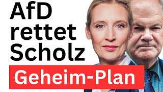 Keine Neuwahlen Scholz Vertrauen aussprechen Merz stoppen [upl. by Ikin]