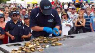 World Record Attempt For Opening Mussels [upl. by Berger]