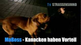 MABOSS  TV STRASSENSOUND  KANACKEN HABEN VORTEIL Offizielles Musikvideo  Interview [upl. by Larrisa]