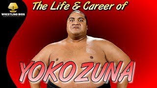 The Life and Career of Yokozuna [upl. by Pricilla]