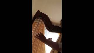 paraguayan harp swing arpa paraguaya Violeta Ramos [upl. by Belvia]