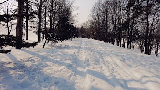 4K Walking in the Deep Snow Moerenuma Park Sapporo Hokkaido JAPAN Snowscape Winter Ambience Sounds [upl. by Ylrebmi493]