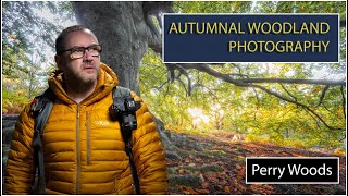 Perry Woods for some Autumn Woodland Photography [upl. by Assenar]