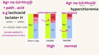 Anion gap شرح ال [upl. by Brigitta405]