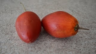 How to Prepare amp Eat Tamarillos  aka Tree Tomatoes Cooking with Kimberly [upl. by Emeric]