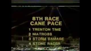 NIATROSS  1980 Cane Pace Final  Yonkers Raceway [upl. by Ekle]