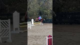 eckermann ￼showjump jumper showjumping preppy [upl. by Eilak694]