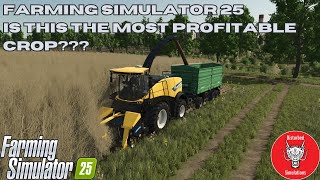 FARMING SIMULATOR 25  MOST PROFITBLE CROP [upl. by Gennifer]