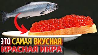 Топ 10 Самых Вкусных Видов Икры  Самая Вкусная Красная Икра  Как Выбрать Красную Икру [upl. by Berti34]