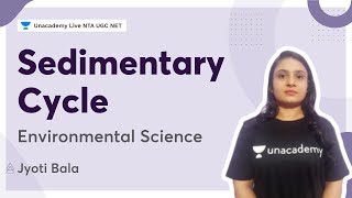 Sedimentary Cycle  Environmental Science  Jyoti Bala  NTA UGC NET [upl. by Beryle]