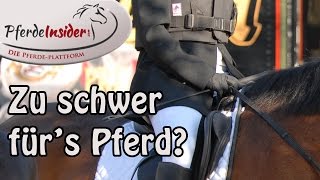 Reitergewicht Bin ich zu schwer für mein Pferd [upl. by Dleifrag]