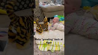 Baby Growling at Tiger Wait Until the End😆babies funny [upl. by Mashe523]