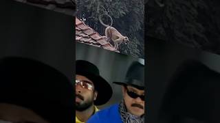 Moosa on HIGH alert 🐒 monkey cidmoosa dileep malayalamtroll malayalamcinema [upl. by Tessa]