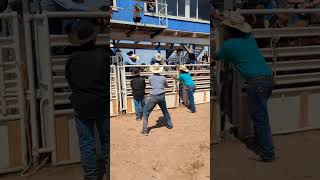 first ever bareback ride cowboys rodeo teamroping rodeos rodeolife broncriding buckinhorse [upl. by Felicle536]