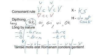 Dactylic Hexameter Scansion [upl. by Mandal576]