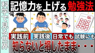 【論文要約】記憶力を10倍にする勉強法５選！記憶力を上げる論文や研究の結果を簡単解説 [upl. by Barcot]