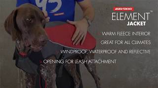 How to Fit a Dog Coat  EzyDog Element Jacket [upl. by Nanete]