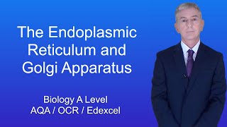 A Level Biology Revision quotThe Endoplasmic Reticulum and Golgi Apparatusquot [upl. by Ennaear]