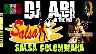 tributo a la salsa colombiana 2014 DJ ABI MIX [upl. by Aveline492]