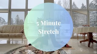 5 Minute PrePost Workout Stretch [upl. by Burman]