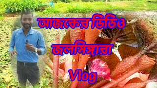 আজকে জলসিঙ্গারার আজব রহস্য উদঘাটন হলো। ranjonvlog vlog explore [upl. by Nodnnarb]