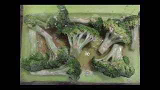 BROCOLI O BRECOL AL HORNO [upl. by Anstice]