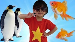 AnAn Đi Chơi Thủy Cung Xem Chim Cánh Cụt Và Xem Cá ❤ AnAn ToysReview TV ❤ [upl. by Kristen]